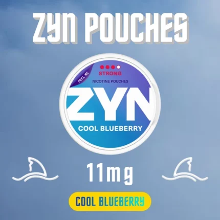 ZYN Cool Blueberry 11mg