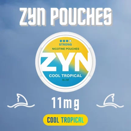 ZYN Cool Tropical 11mg