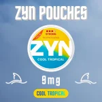 ZYN Cool Tropical 9mg